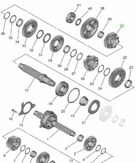 CP2 Tandwiel 5e versnelling (24T) BLW-17251-00