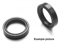 ALL BALLS VOORVORK KEERRING SET 43x55x9,5/10,5 55-123