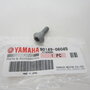 Yamaha YZF Torx bout voorrremschijf